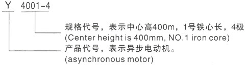 西安泰富西玛Y系列(H355-1000)高压YKS5603-10三相异步电机型号说明