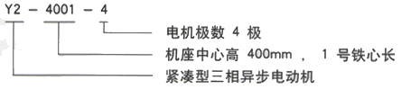 YR系列(H355-1000)高压YKS5603-10三相异步电机西安西玛电机型号说明